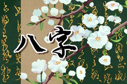 命宫、身宫与胎元