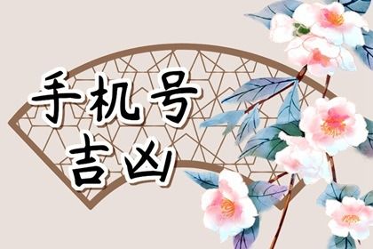 车牌号也要看吗